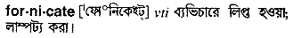 Fornicate in Bangla Academy Dictionary