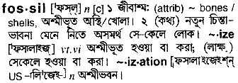 Fossil in Bangla Academy Dictionary