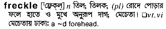 Freckle in Bangla Academy Dictionary