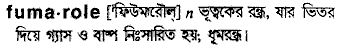 Fumarole in Bangla Academy Dictionary