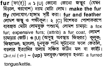Fur in Bangla Academy Dictionary