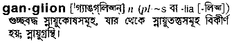 Ganglion in Bangla Academy Dictionary