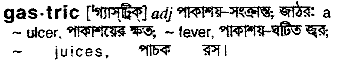 Gastric in Bangla Academy Dictionary