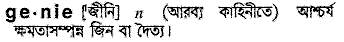 Genie in Bangla Academy Dictionary
