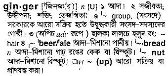Ginger in Bangla Academy Dictionary