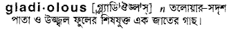 Gladiolous in Bangla Academy Dictionary