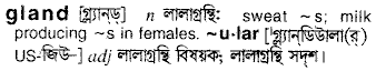 Gland in Bangla Academy Dictionary
