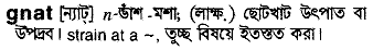 Gnat in Bangla Academy Dictionary