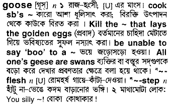 Goose in Bangla Academy Dictionary