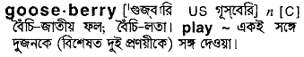 Gooseberry in Bangla Academy Dictionary