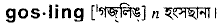 Gosling in Bangla Academy Dictionary