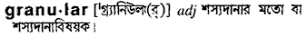 Granular in Bangla Academy Dictionary