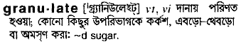 Granulate in Bangla Academy Dictionary