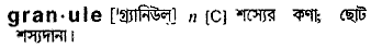 Granule in Bangla Academy Dictionary