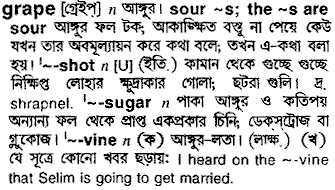 Grape in Bangla Academy Dictionary