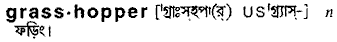 Grasshopper in Bangla Academy Dictionary