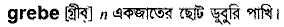 Grebe in Bangla Academy Dictionary