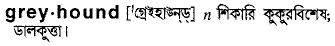 Greyhound in Bangla Academy Dictionary
