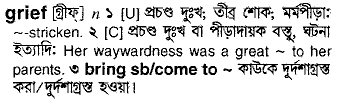 Grief in Bangla Academy Dictionary