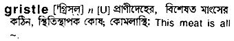Gristle in Bangla Academy Dictionary