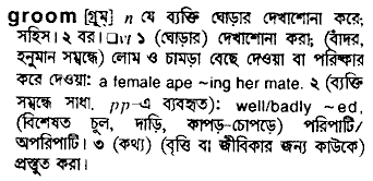 Groom in Bangla Academy Dictionary