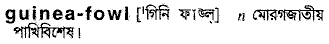 Guinea-fowl in Bangla Academy Dictionary