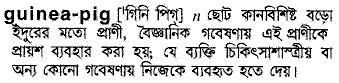 Guinea-pig in Bangla Academy Dictionary