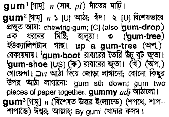 Gum in Bangla Academy Dictionary