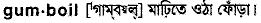 Gumboil in Bangla Academy Dictionary