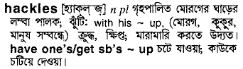 Hackles in Bangla Academy Dictionary