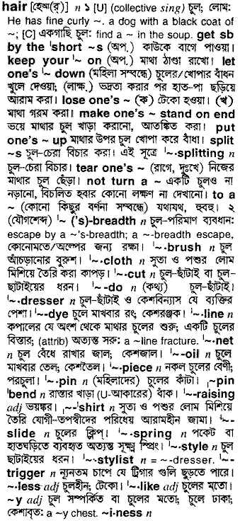 Hair in Bangla Academy Dictionary