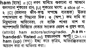 Ham in Bangla Academy Dictionary