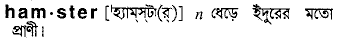 Hamster in Bangla Academy Dictionary