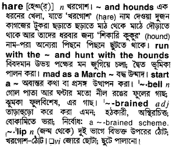 Hare in Bangla Academy Dictionary
