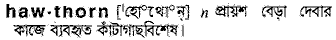 Hawthorn in Bangla Academy Dictionary