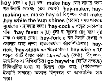 Hay in Bangla Academy Dictionary