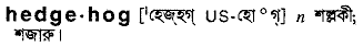 Hedgehog in Bangla Academy Dictionary