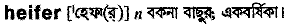 Heifer in Bangla Academy Dictionary