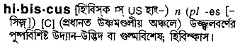 Hibiscus in Bangla Academy Dictionary