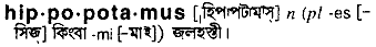Hippopotamus in Bangla Academy Dictionary