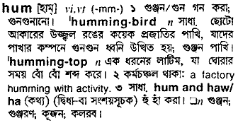 Hum in Bangla Academy Dictionary