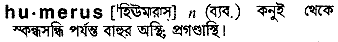Humerus in Bangla Academy Dictionary