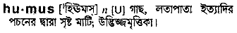 Humus in Bangla Academy Dictionary