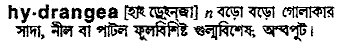 Hydrangea in Bangla Academy Dictionary