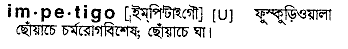 Impetigo in Bangla Academy Dictionary