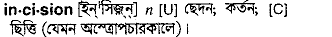Incision in Bangla Academy Dictionary