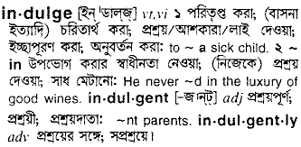 Indulge in Bangla Academy Dictionary