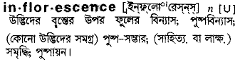 Inflorescence in Bangla Academy Dictionary