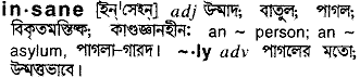 Insane in Bangla Academy Dictionary