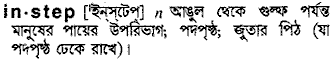 Instep in Bangla Academy Dictionary